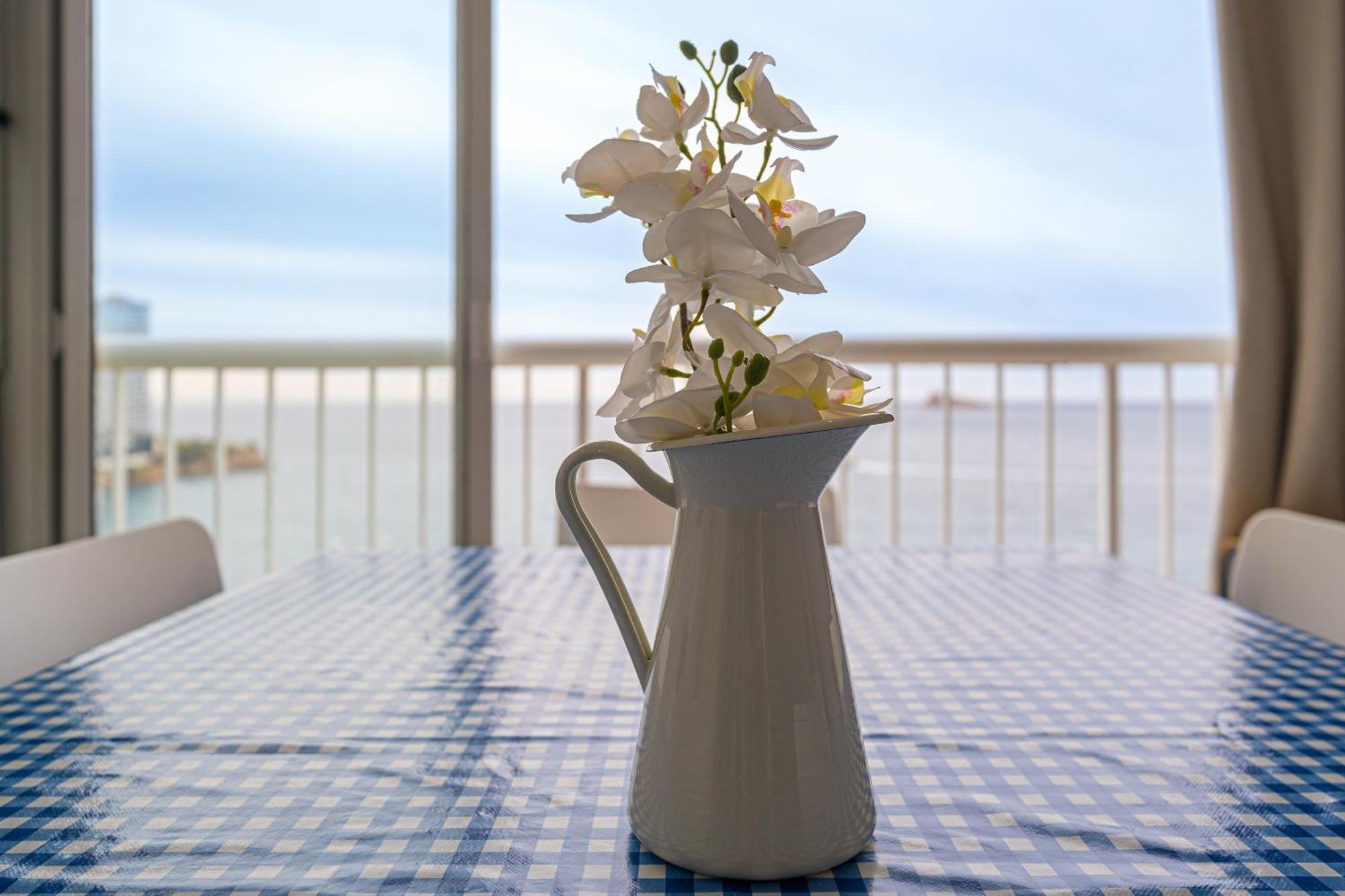 Apartamento Avenida Madrid 貝尼多姆 外观 照片